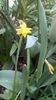 IMG-20200330-WA0029
