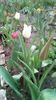 IMG-20200330-WA0030
