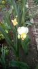 IMG-20200330-WA0038