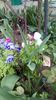 IMG-20200330-WA0041
