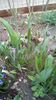 IMG-20200330-WA0042