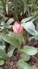 IMG-20200330-WA0047