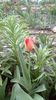 IMG-20200330-WA0048