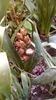 IMG-20200330-WA0051