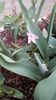 IMG-20200330-WA0053