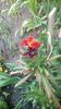 IMG-20200330-WA0055
