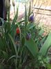 IMG-20200402-WA0004