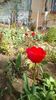 IMG-20200405-WA0018