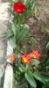 IMG-20200405-WA0027