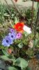 IMG-20200405-WA0033