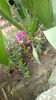 IMG-20200405-WA0036