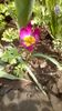 IMG-20200405-WA0040