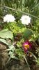 IMG-20200405-WA0042