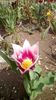 IMG-20200405-WA0045