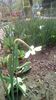 IMG-20200405-WA0052