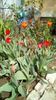 IMG-20200405-WA0057