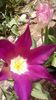 IMG-20200405-WA0060