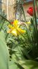 IMG-20200405-WA0066