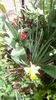 IMG-20200405-WA0070