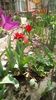 IMG-20200405-WA0072