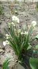 IMG-20200405-WA0079