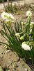 IMG-20200405-WA0089