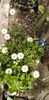IMG-20200405-WA0097
