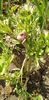 IMG-20200405-WA0099