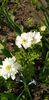 IMG-20200405-WA0100