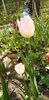 IMG-20200405-WA0103