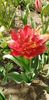 IMG-20200405-WA0104