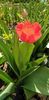 IMG-20200405-WA0108