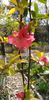 IMG-20200405-WA0116
