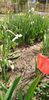 IMG-20200405-WA0117
