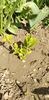 IMG-20200405-WA0121