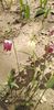 IMG-20200405-WA0123