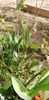 IMG-20200405-WA0124