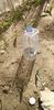 IMG-20200405-WA0128