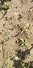 IMG-20200405-WA0130
