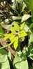 IMG-20200405-WA0135