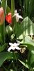 IMG-20200405-WA0138
