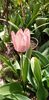 IMG-20200405-WA0140