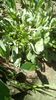 IMG-20200406-WA0002