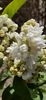 IMG-20200407-WA0005