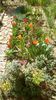IMG-20200407-WA0017