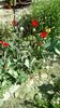 IMG-20200407-WA0019