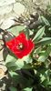 IMG-20200407-WA0022