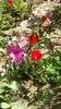 IMG-20200407-WA0023