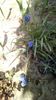 IMG-20200407-WA0025