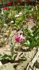 IMG-20200407-WA0029